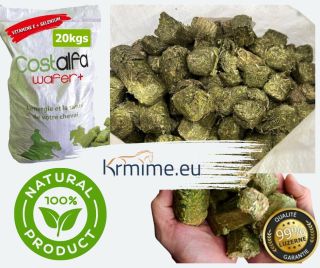 🌿🐎 Hledáte způsob, jak vašemu koni zajistit tu nejlepší péči? 🌿 Costalfa+ je odpovědí! Tyto 100% přírodní vojtěškové...